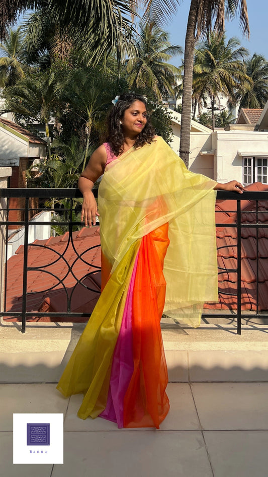 Rainbow hues - Banna's signature organza saree