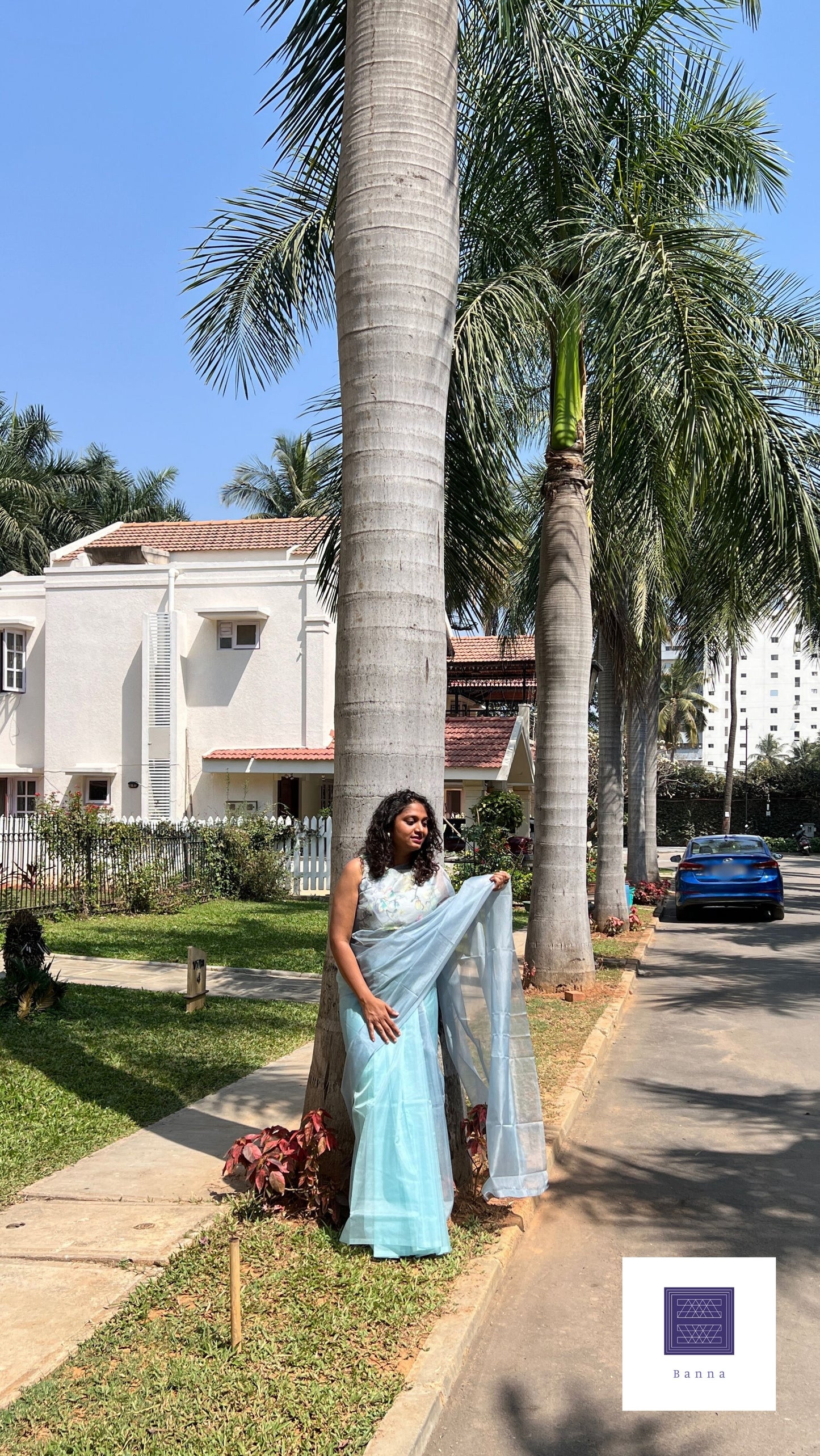 Grey cloud - Banna's signature organza saree