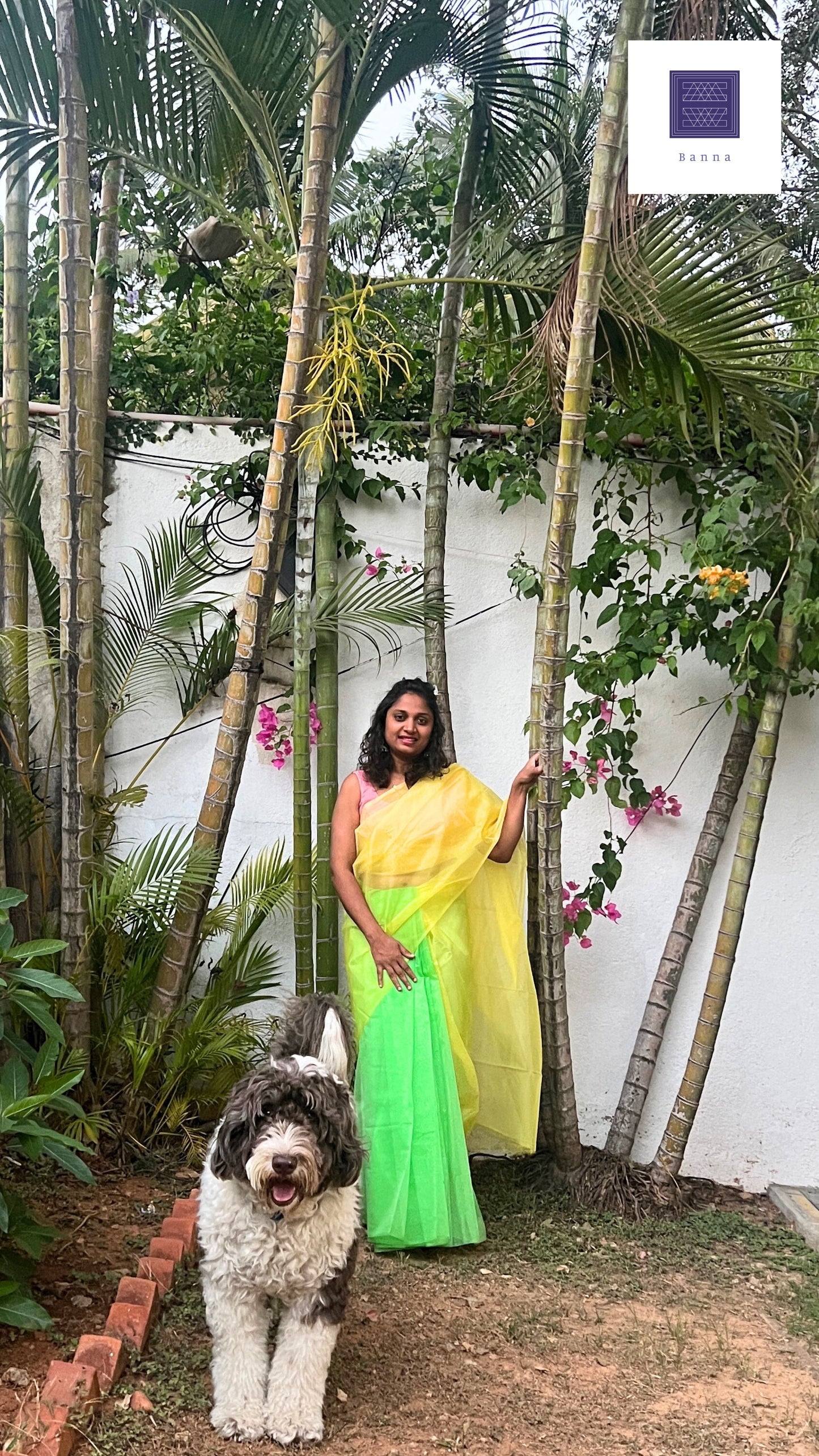 Green and Yellow Parakeet - Banna's signature organza saree