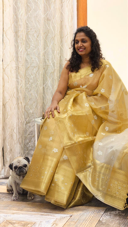 Kota Tissue Saree in Gold  - Silver and Gold Buttis