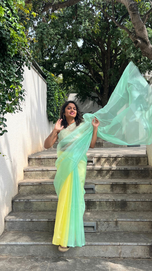 Ruby blossom - Banna's signature organza saree