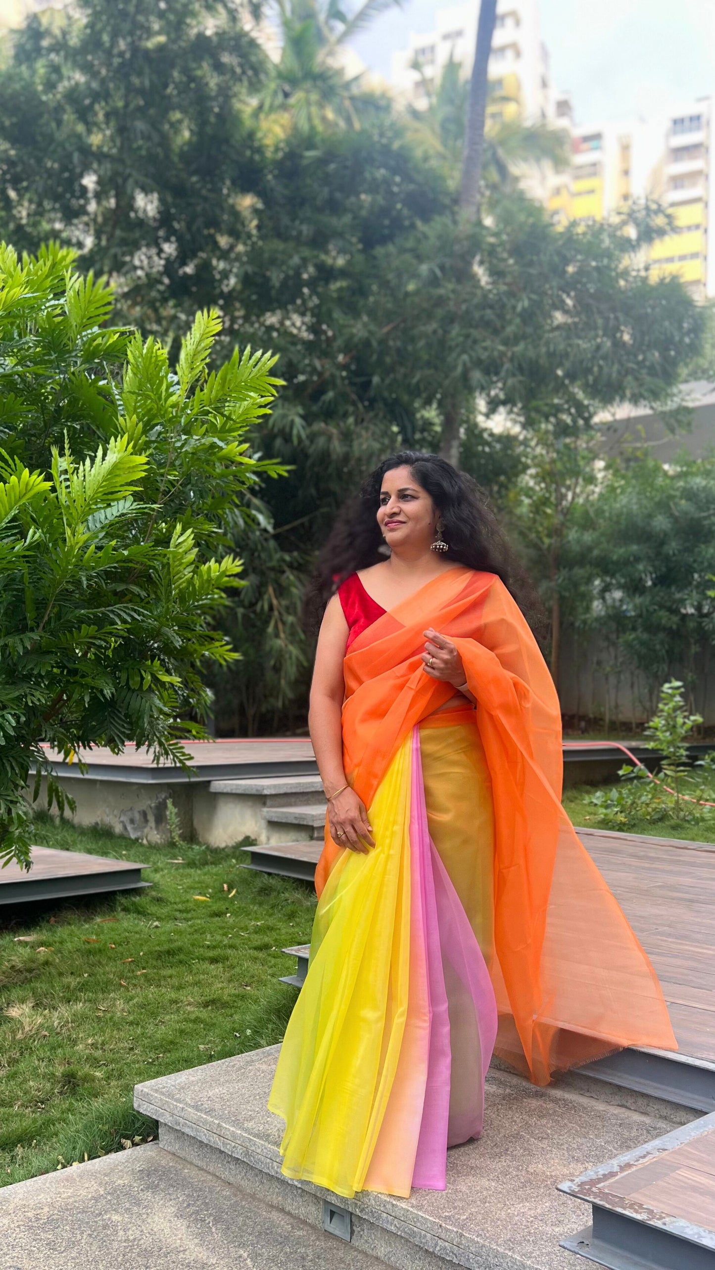 Colorful Butterfly - Banna's signature organza saree