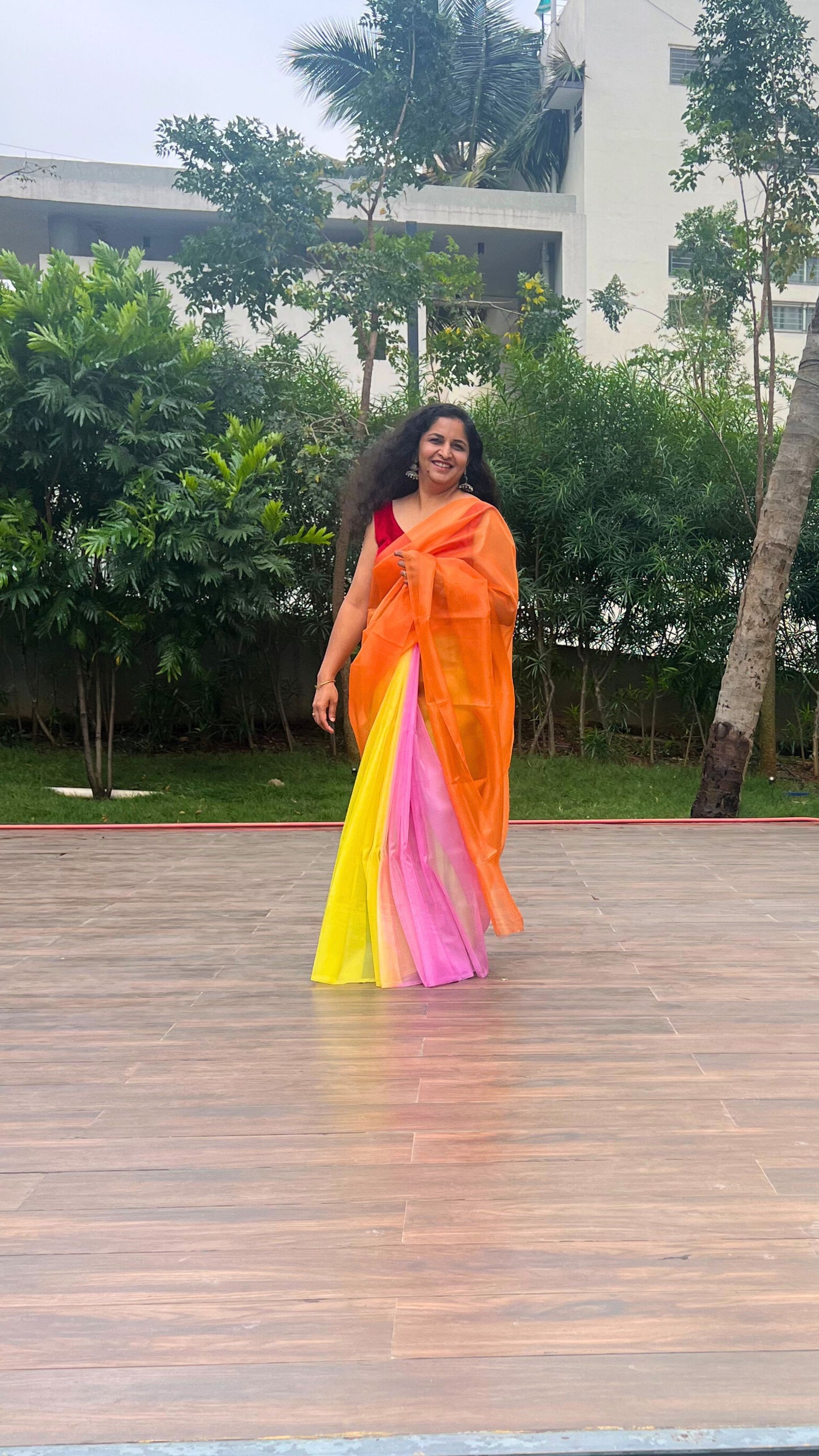 Colorful Butterfly - Banna's signature organza saree