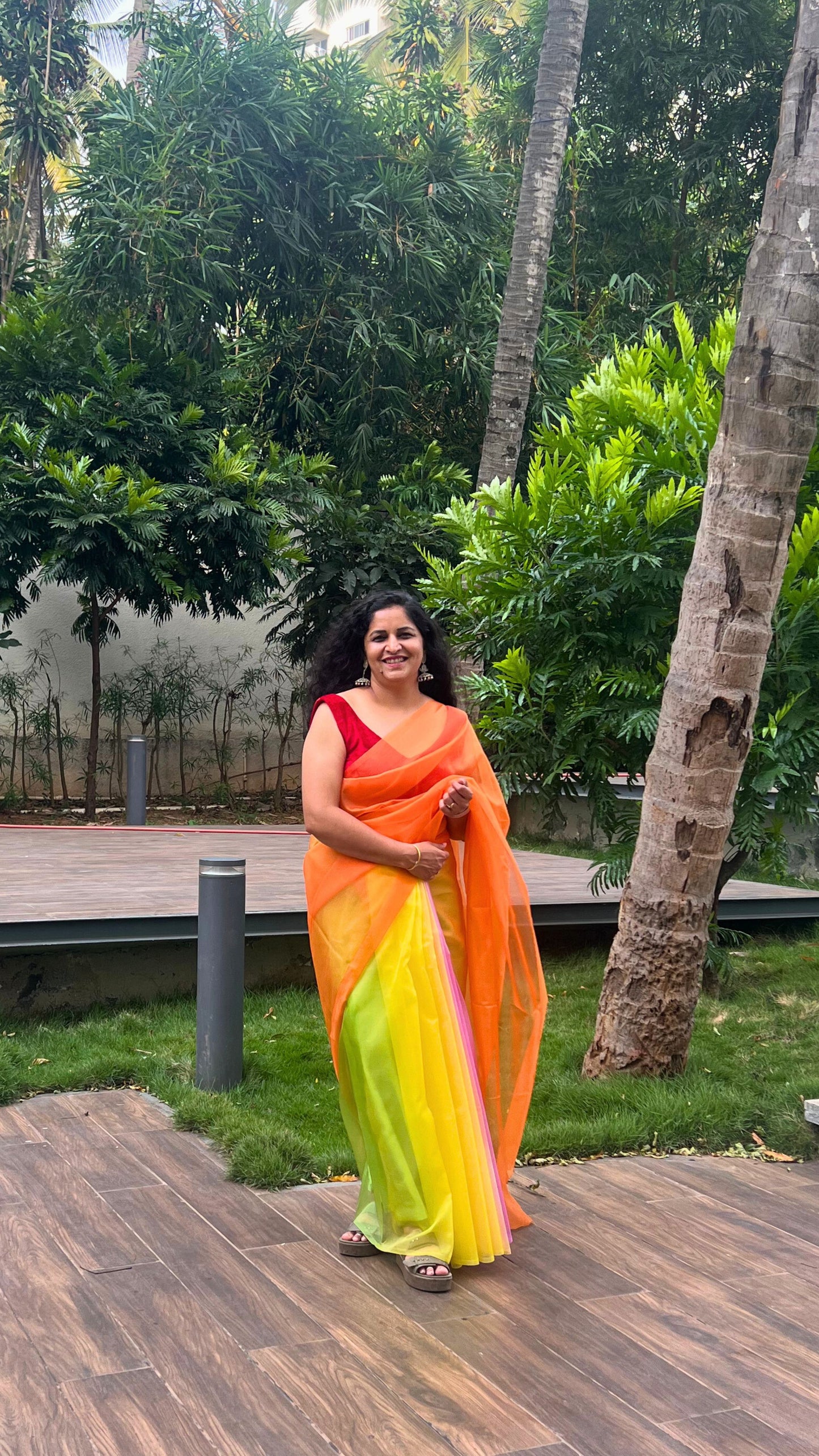 Colorful Butterfly - Banna's signature organza saree