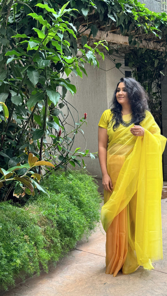 The fall hues - Banna's signature organza saree