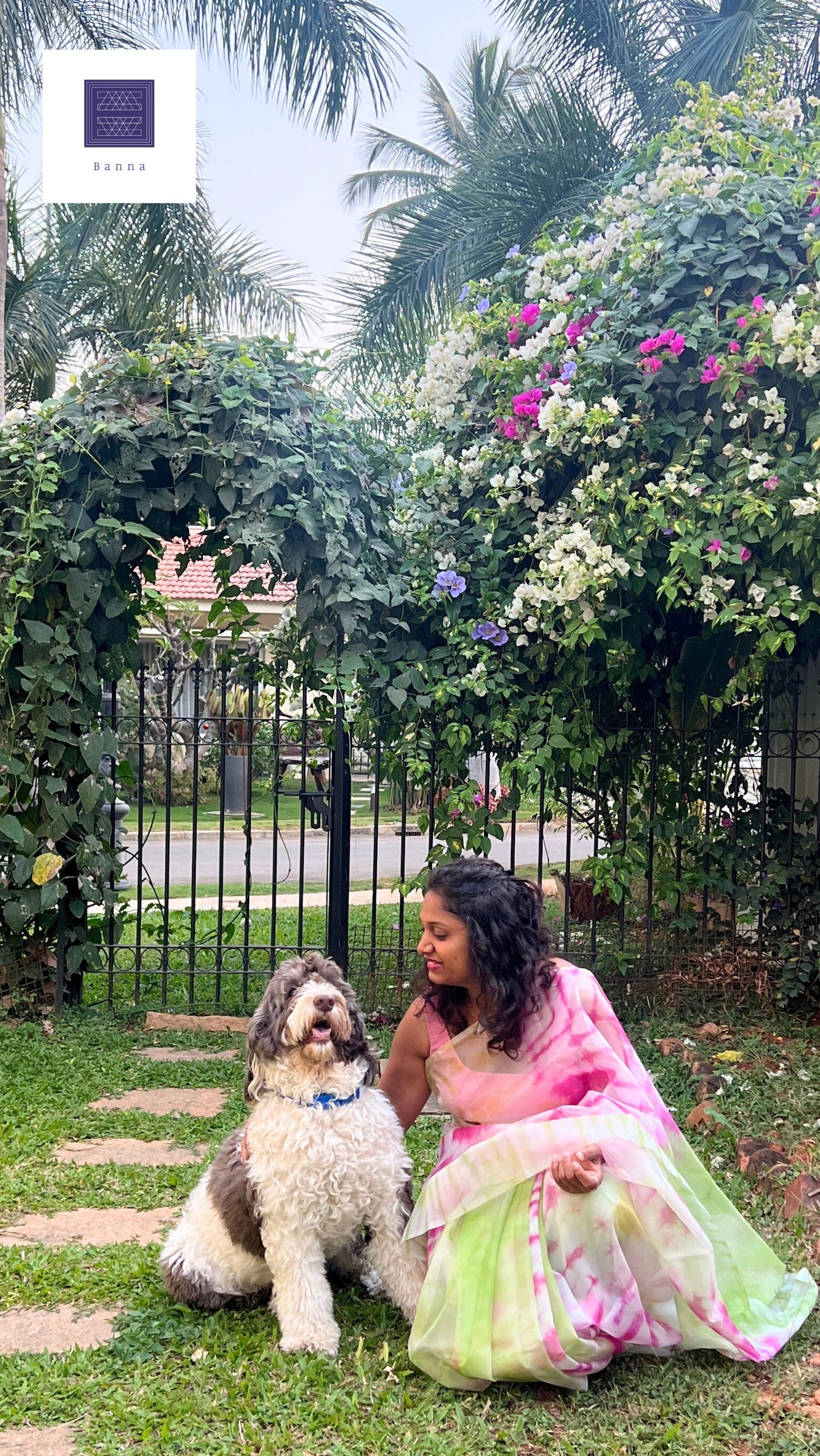 Bougainvillea Bloom, in tie dye - Banna's signature organza saree