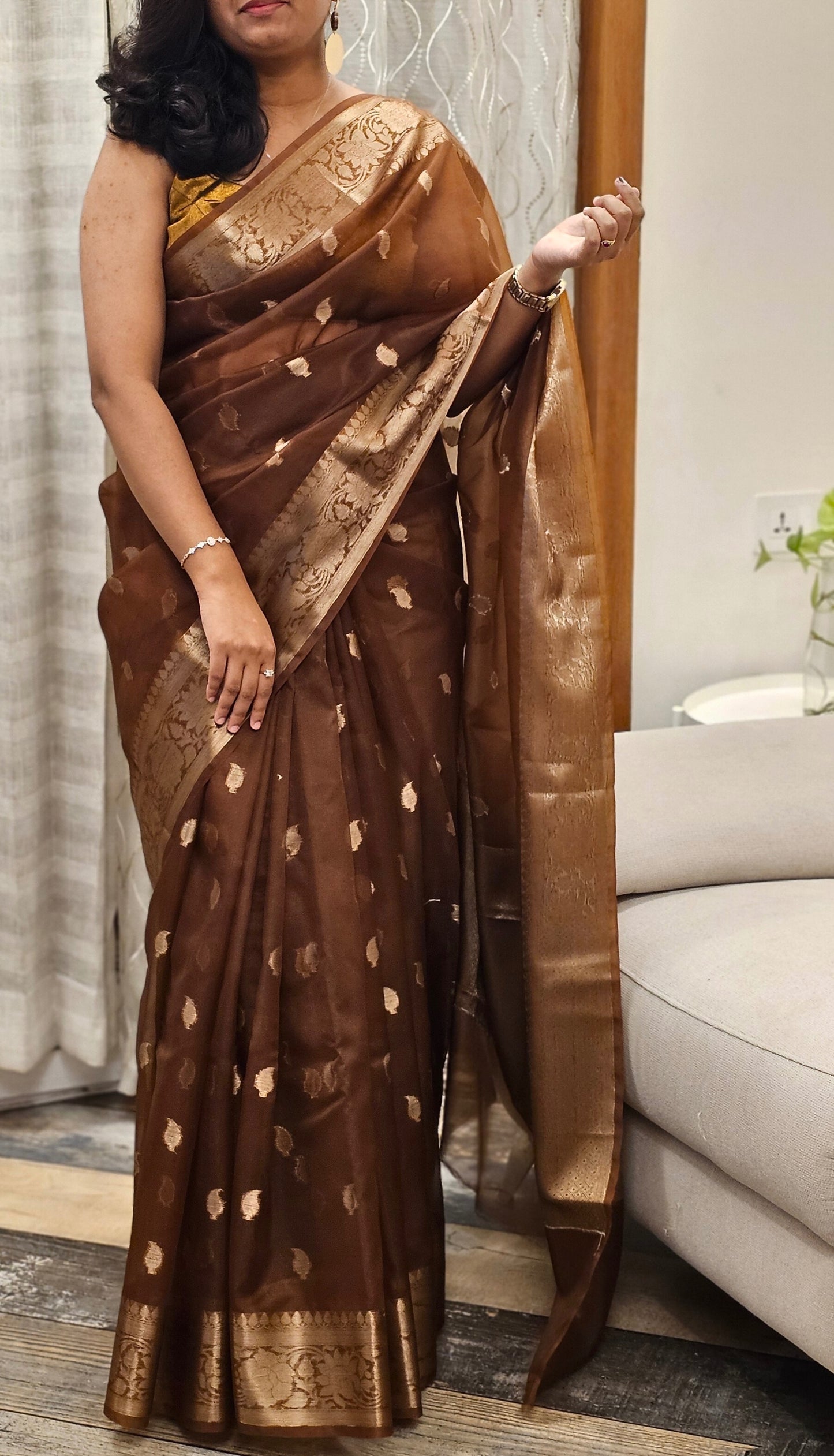 Traditional Banarasi Weave in Organza