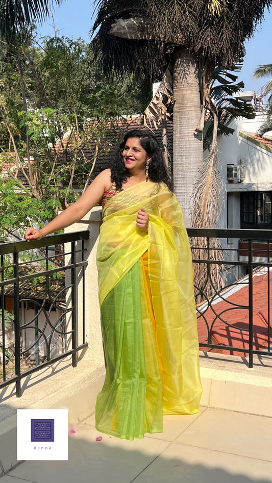 Green Butterfly - Banna's signature organza saree