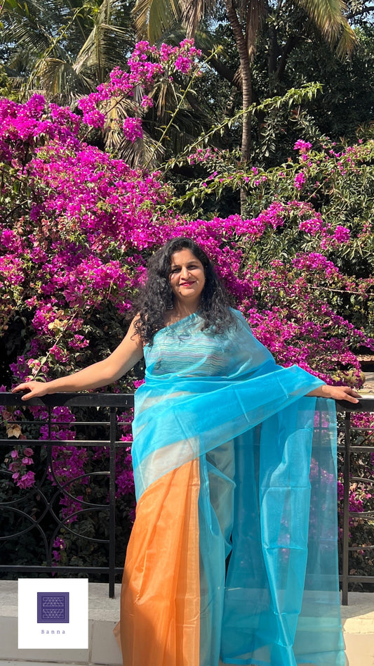 Another Kingfisher bird - Banna's signature organza saree in Blue and Orange