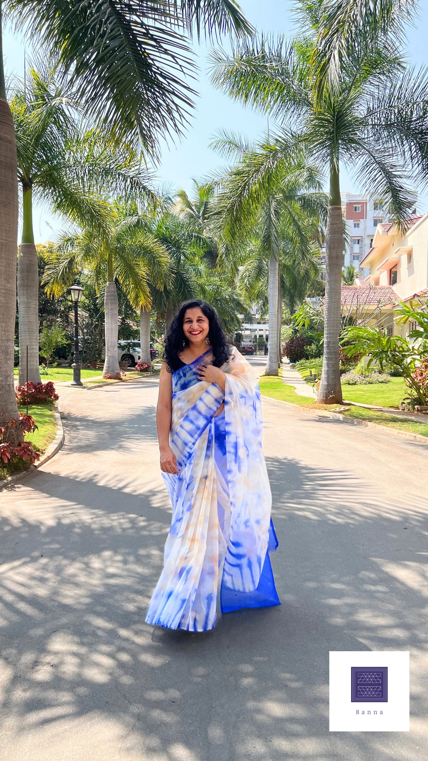 Dark Blue Sky - Banna's signature organza saree