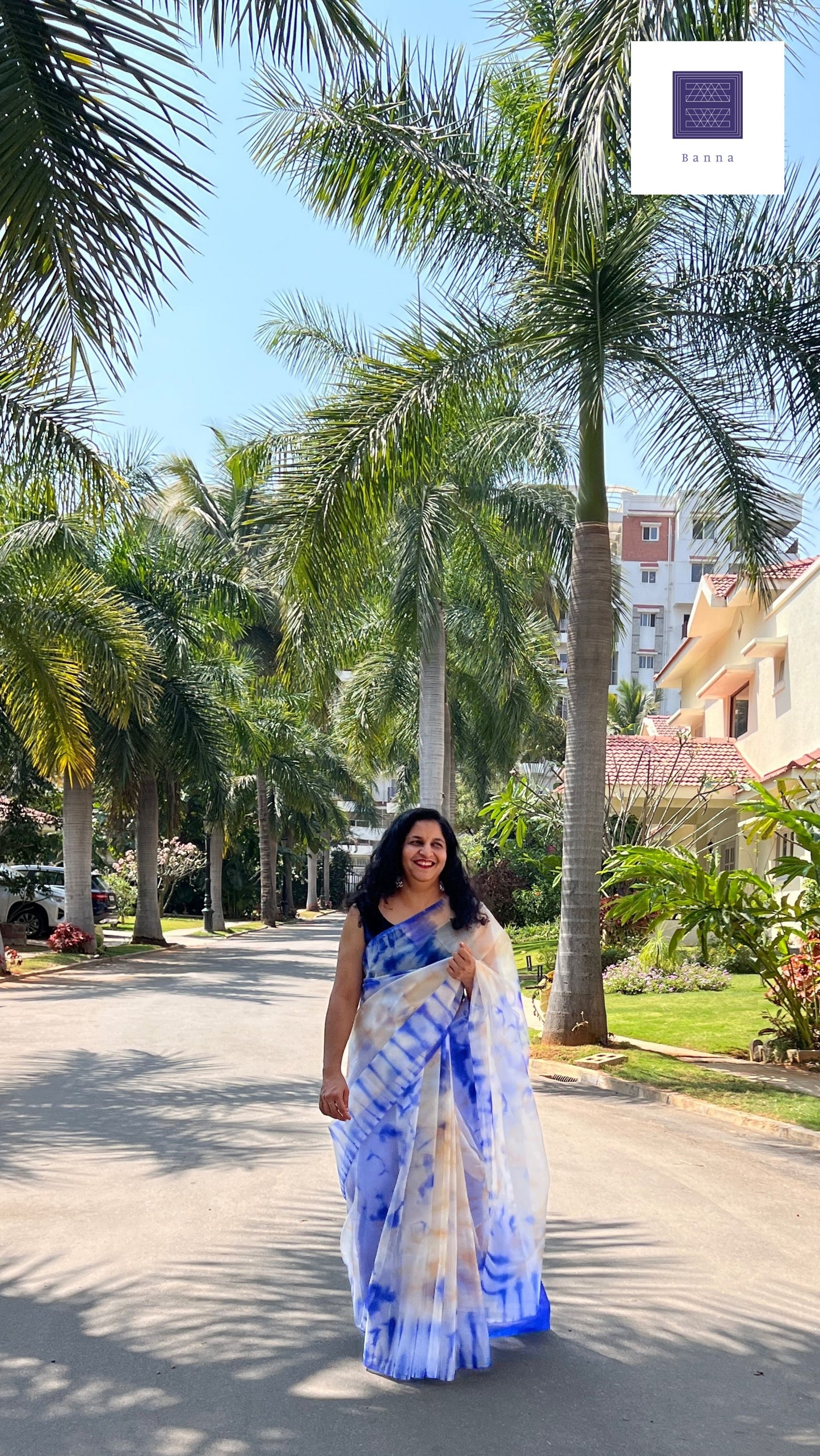 Dark Blue Sky - Banna's signature organza saree