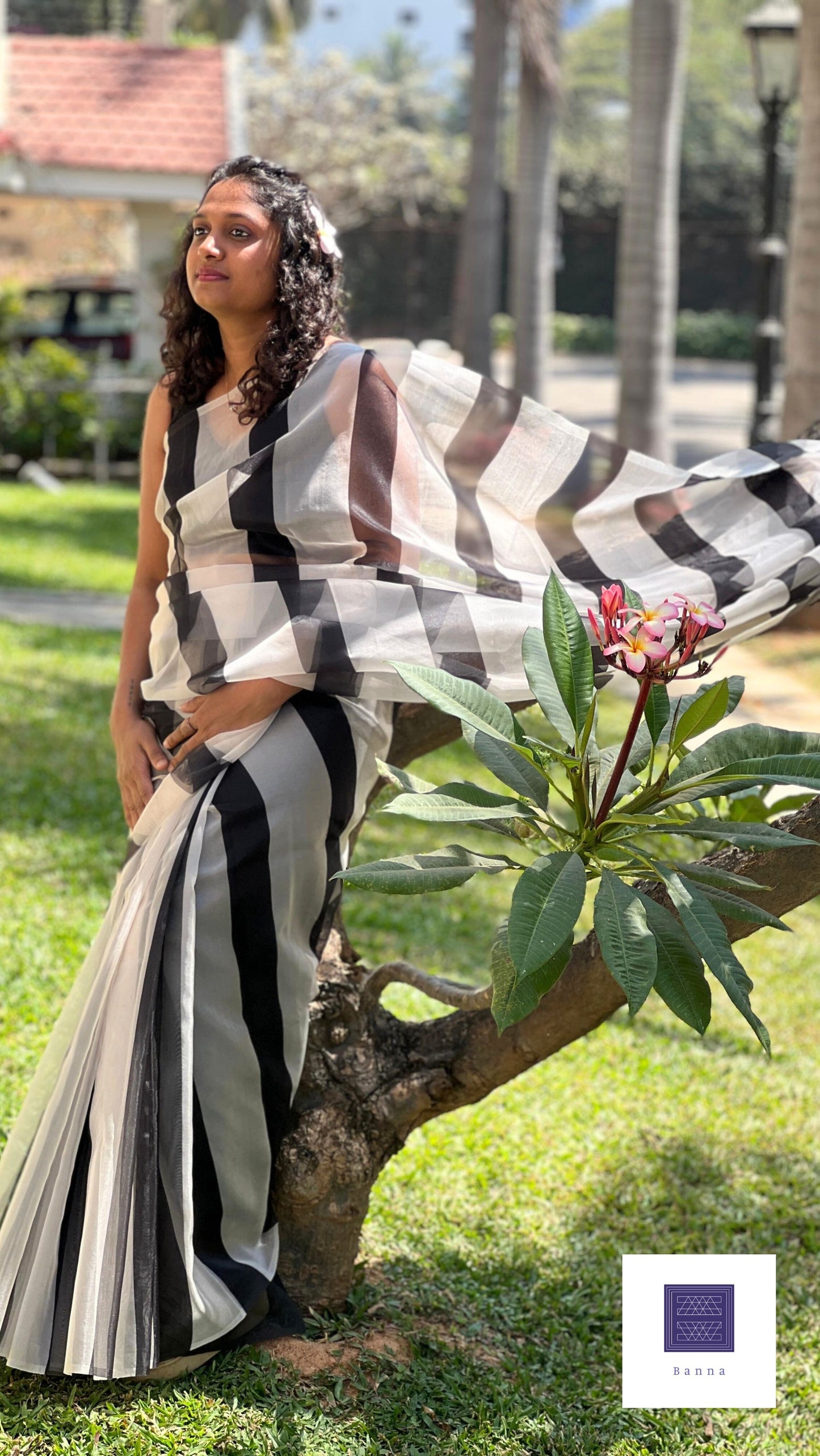 Zebra Black and White Vertical lines - Banna's signature organza saree