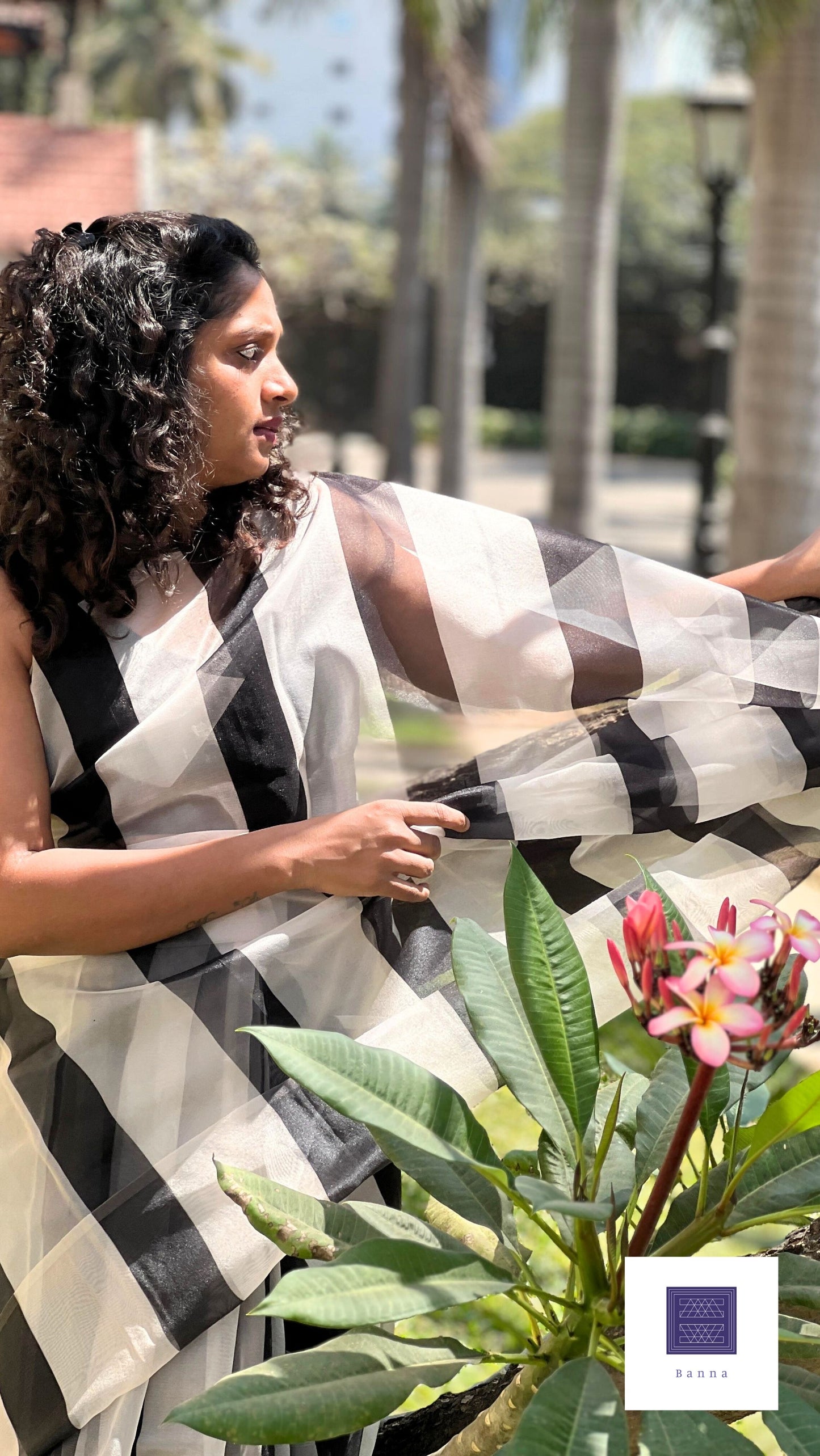 Zebra Black and White Vertical lines - Banna's signature organza saree