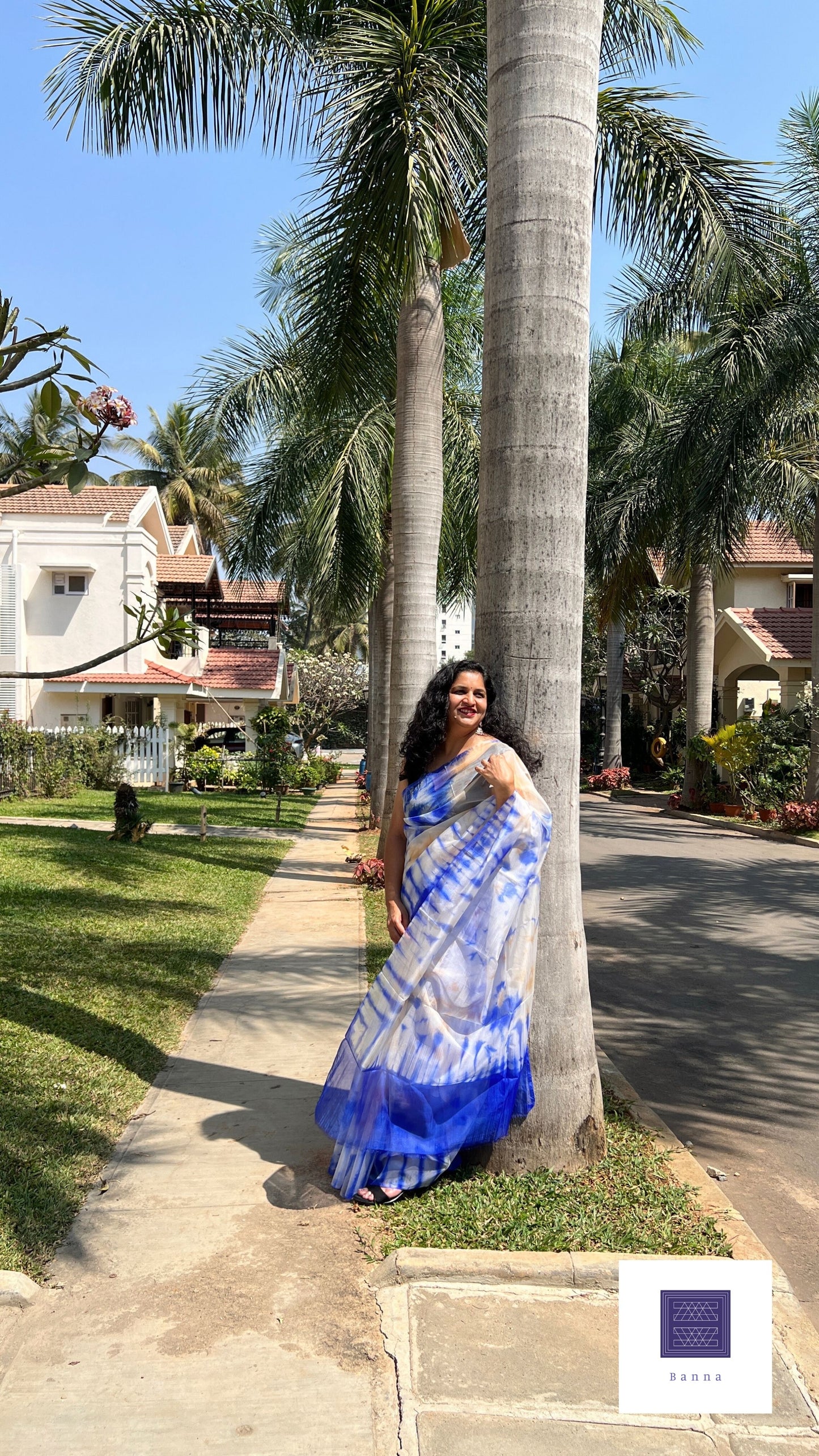 Dark Blue Sky - Banna's signature organza saree