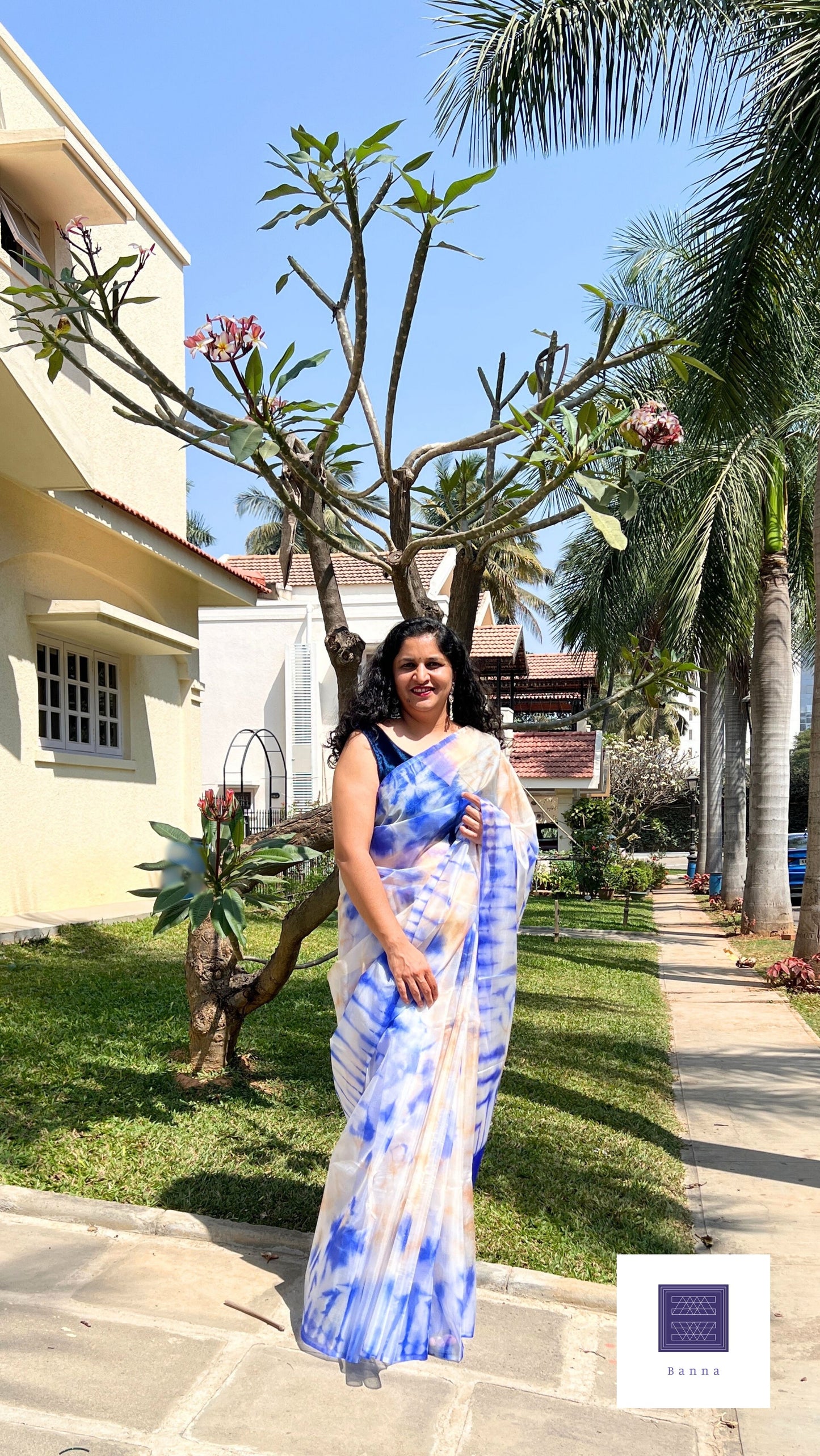 Dark Blue Sky - Banna's signature organza saree